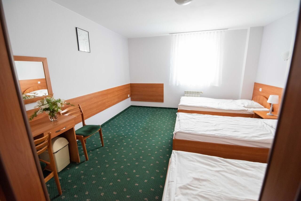 Отель Hotel Reg Benz Мелец-27