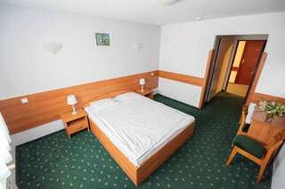 Отель Hotel Reg Benz Мелец Двухместный номер с 1 кроватью или 2 отдельными кроватями-7