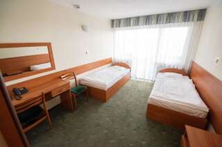 Отель Hotel Reg Benz Мелец Двухместный номер с 1 кроватью или 2 отдельными кроватями-10